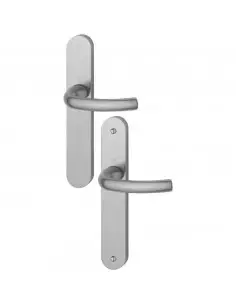 Ensemble Sur Plaque Tokyo Hoppe Grande Plaque 2