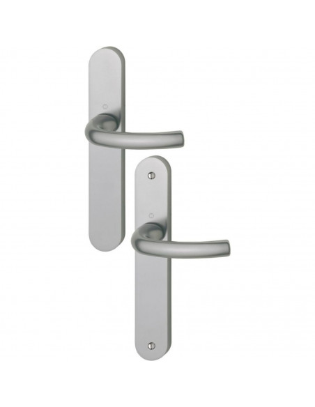 Ensemble Sur Plaque Tokyo Hoppe Grande Plaque