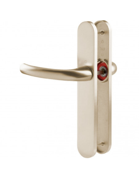 Ensemble Sur Plaque Tokyo Hoppe Grande Plaque