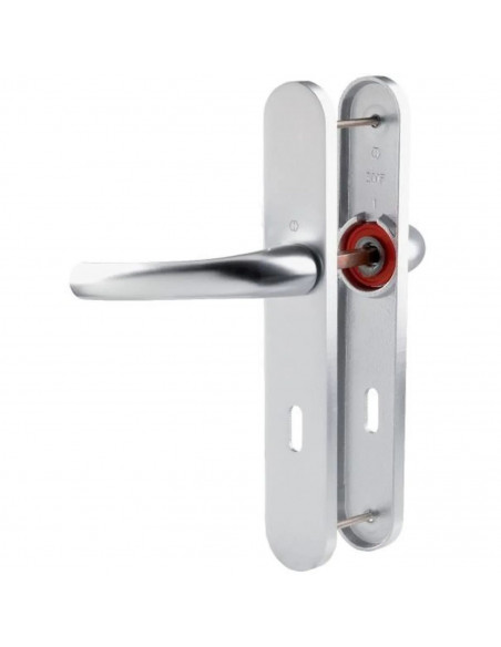 Ensemble Sur Plaque Tokyo Hoppe Grande Plaque