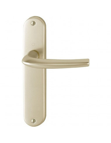 Ensemble Sur Plaque San Diego Hoppe Grande Plaque