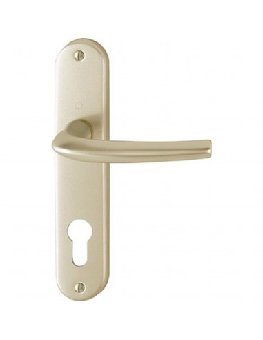 Ensemble Sur Plaque San Diego Hoppe Grande Plaque