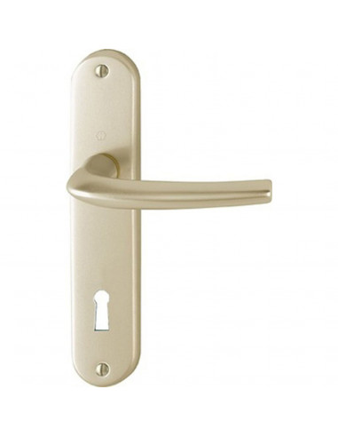 Ensemble Sur Plaque San Diego Hoppe Grande Plaque