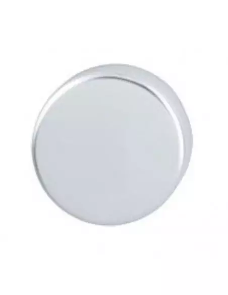 Paire De Rosaces Hoppe