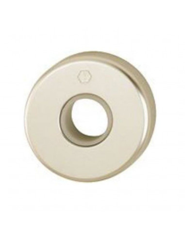 Paire De Rosaces Hoppe