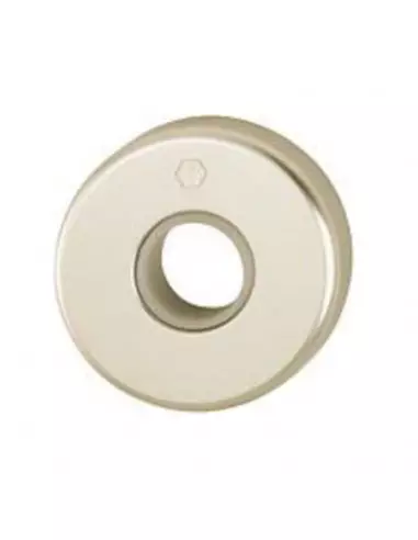 Paire De Rosaces Hoppe