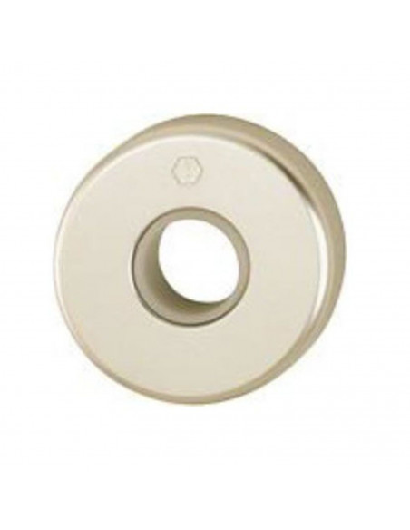 Paire De Rosaces Hoppe