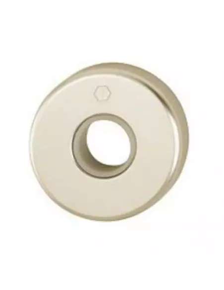 Paire De Rosaces Hoppe