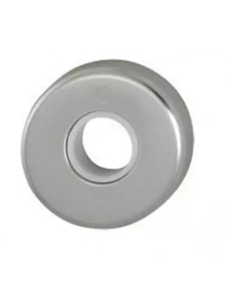 Paire De Rosaces Hoppe