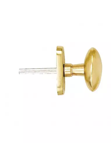 Poignée De Fenêtre Devismes Laiton Antique