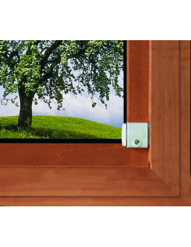 Sécurité Supplémentaire Abus Pour La Fenêtre...