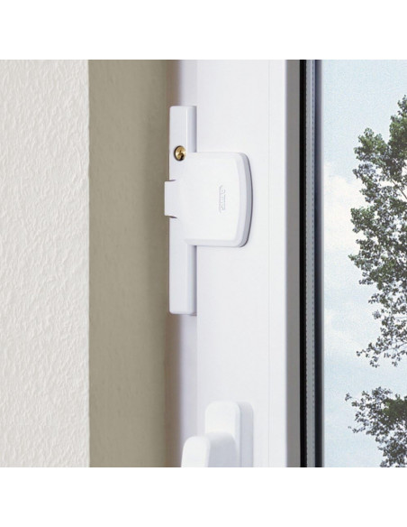 Sécurité Supplémentaire Abus Pour La Fenêtre Fts206