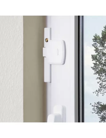 Sécurité Supplémentaire Abus Pour La Fenêtre Fts206