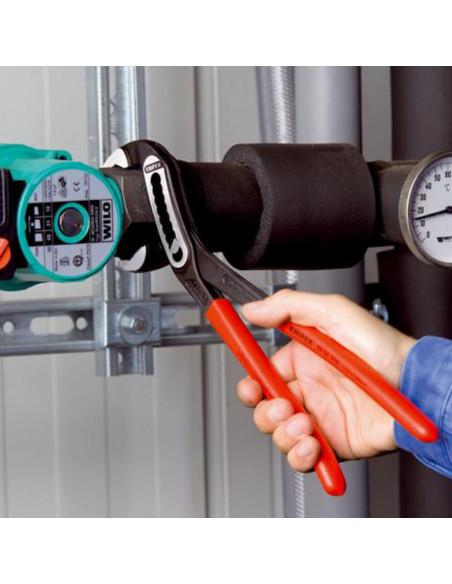 Pince Multiprise knipex Alligator®
