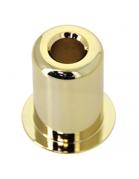 Protecteur De Cylindre Fichet