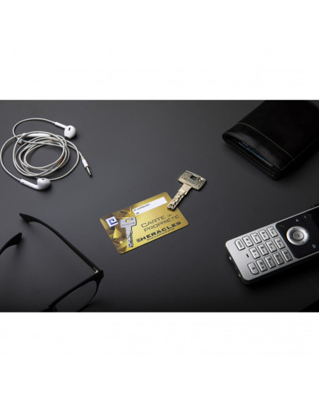 Cylindre Européen A Bouton Héraclès Sr