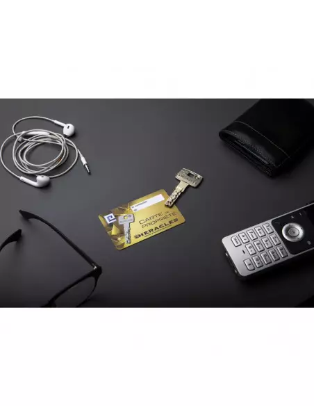 Cylindre Européen A Bouton Héraclès Sr