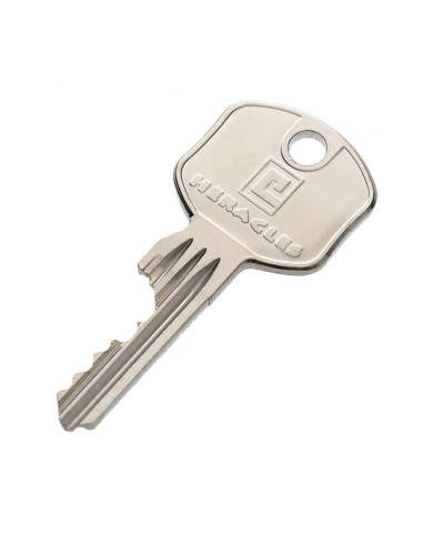 Cylindre A Bouton Héraclès Sur PG De Stock