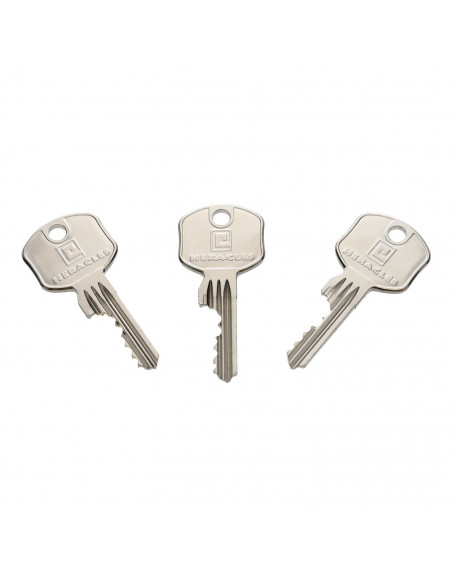 Cylindre A Bouton Héraclès Sur PG De Stock