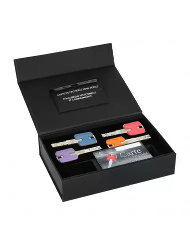 Cylindre A Bouton Héraclès Platinium Hq