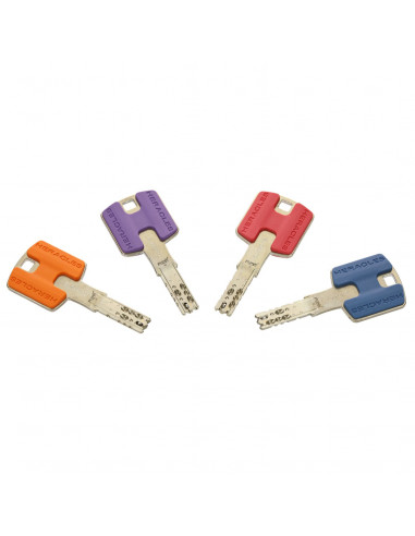 Cylindre A Bouton Héraclès Platinium Hq