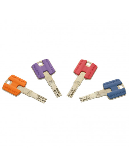 Cylindre A Bouton Héraclès Platinium Hq