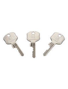 Demi-Cylindre Européen Heracles Sur Pg1 De Stock 2