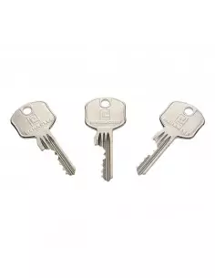 Demi-Cylindre Européen Heracles Sur Pg1 De Stock 2