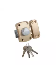 Verrou Alpha 2 Bricard À Bouton Triangulaire