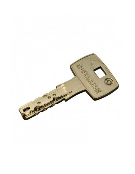 Cylindre Monobloc Heracles Sr Suisse