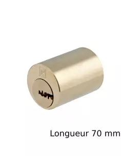 Jeu De Cylindre Heracles Y8 Pour Serrure MX4500 2