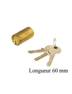 Cylindre Jpm Pour Antipanique Securichauffe 2