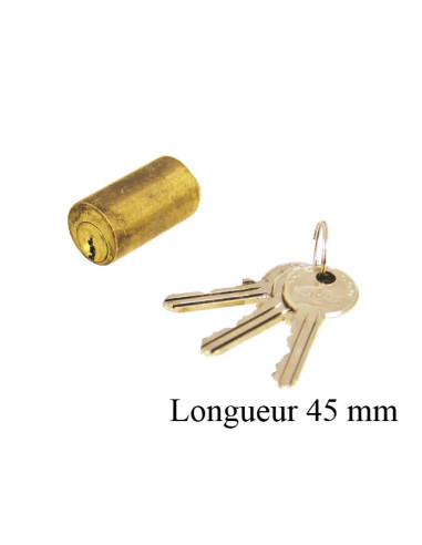 Cylindre Jpm Pour Antipanique Securichauffe