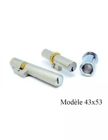 Cylindre Adaptable Monobloc Medeco De Type...