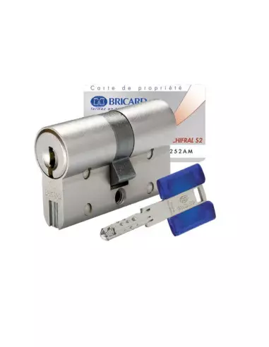 Cylindre Européen À Double Entrée Bricard...