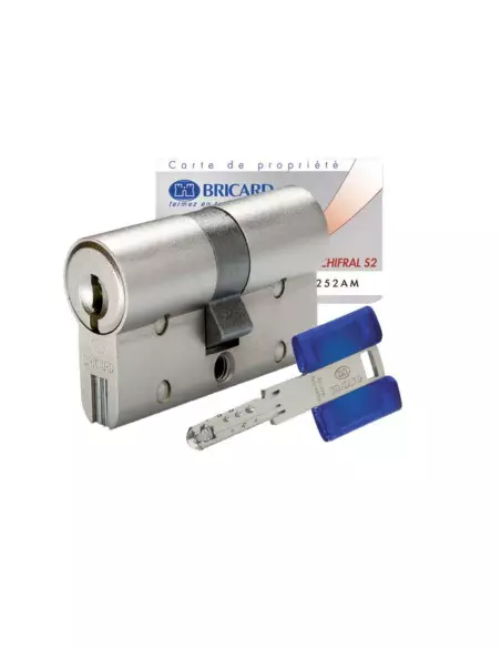 Cylindre Européen À Double Entrée Bricard Chifral S2