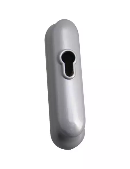 Module Extérieur Bricard Pour Securistyle Et Touchbar 900