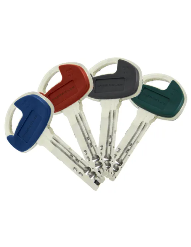 Cylindre Européen À Roue Dentée Heracles X8